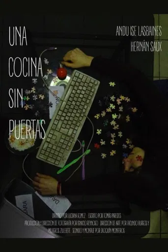 A kitchen without doors poster