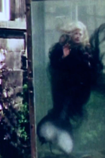 The Little Mermaid poster