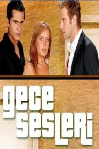 Gece Sesleri poster