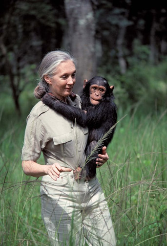 Jane Goodall: An Inside Look poster