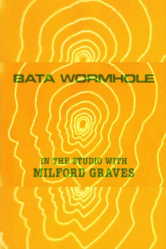 Bata Wormhole poster