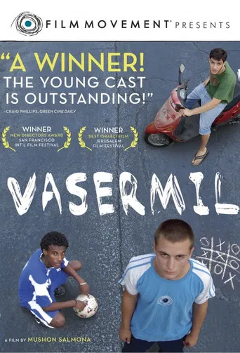 Vasermil poster