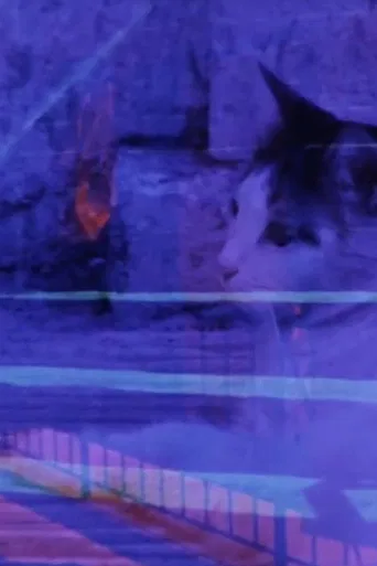 Austerity Measures poster