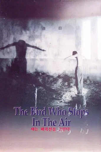 The Bird Who Stops in the Air poster