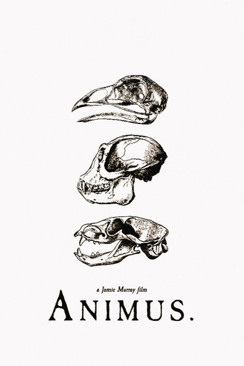 Animus poster