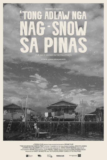 The Day It Snowed in the Philippines poster
