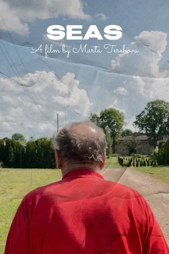 Seas poster