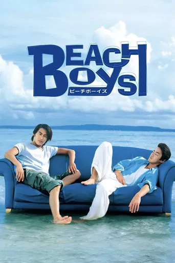 Beach Boys poster