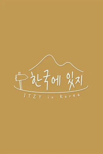 한국에 있지 poster