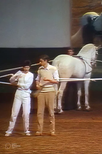 Kaiserschnitt poster