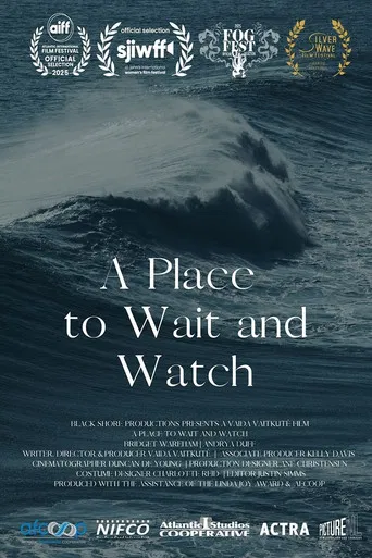 A Place to Wait and Watch poster