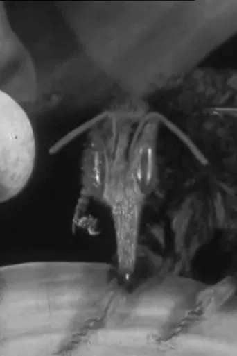 Scarlet Runner & Co poster