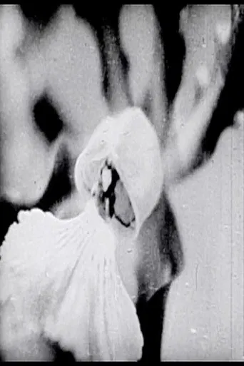 Floral Symphony poster