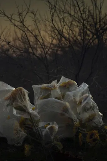 For the Sake of Calmness poster