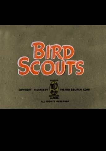 Bird Scouts poster