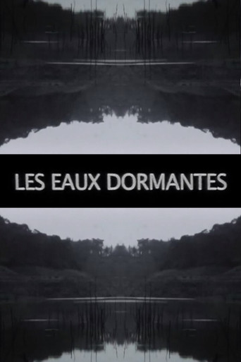 Les Eaux dormantes poster