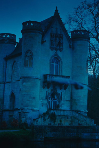 Backflip Again poster