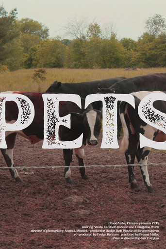 Pets poster