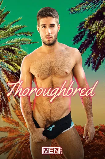 Thoroughbred poster
