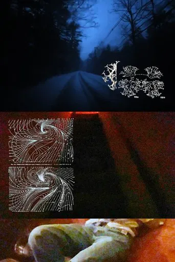 In The Slit Throat poster