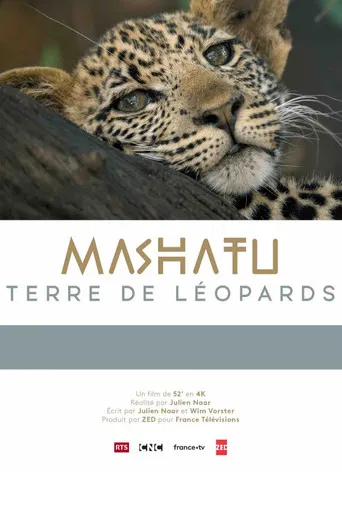 Mashatu, terre de léopards poster