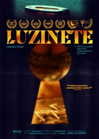 Luzinete poster