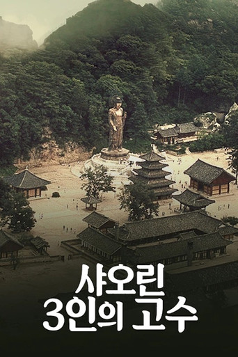 Internal Struggle poster