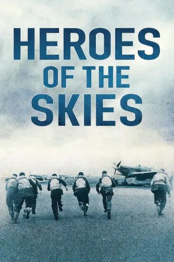 Heroes of the Skies poster