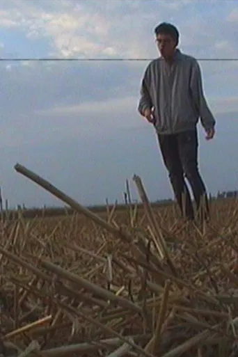 The Roots Of The Horizon poster