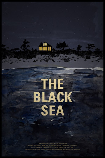 The Black Sea poster
