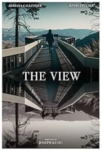 The View poster