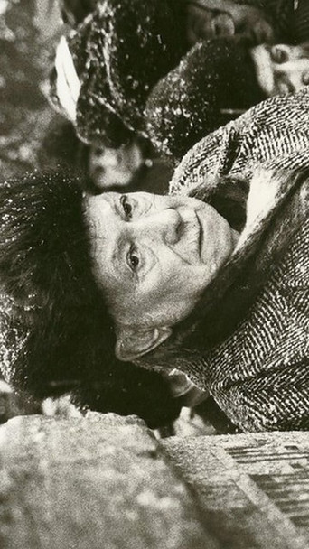 The Jewish Street poster