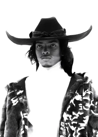 Peculiar Contrast, Perfect Light poster