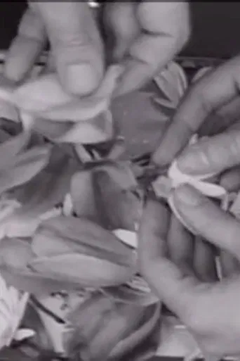 The Clouds That Touch Us Out of Clear Skies poster