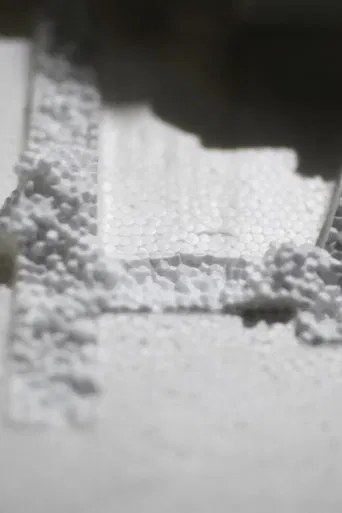 Tenebrio molitor poster