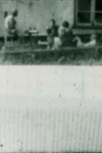 Lost for Words poster