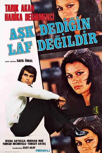 Aşk Dediğin Laf Değildir poster