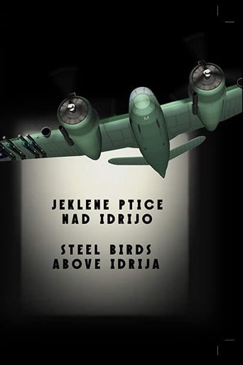 Steel Birds Above Idrija poster
