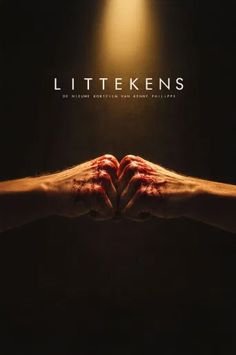Littekens poster