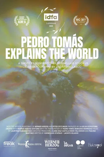 Pedro Tomás Explains The World poster