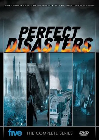 Perfect Disaster poster
