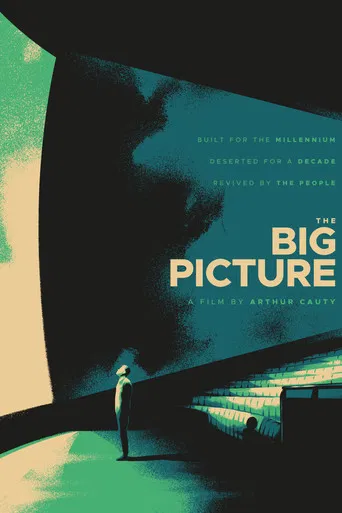 The Big Picture poster