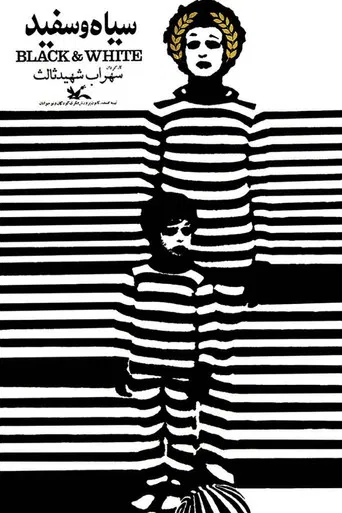 Black and White poster