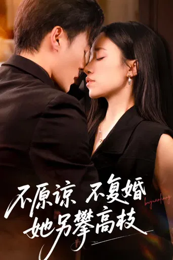 不原谅不复婚她另攀高枝 poster