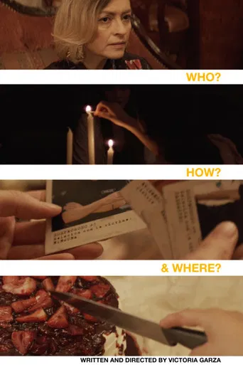 Who? How? And Where? poster