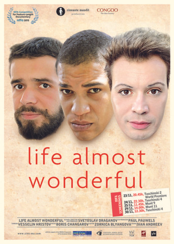 Life Almost Wonderful poster
