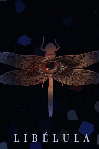 Libélula poster
