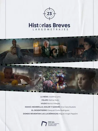 Historias Breves 23 poster