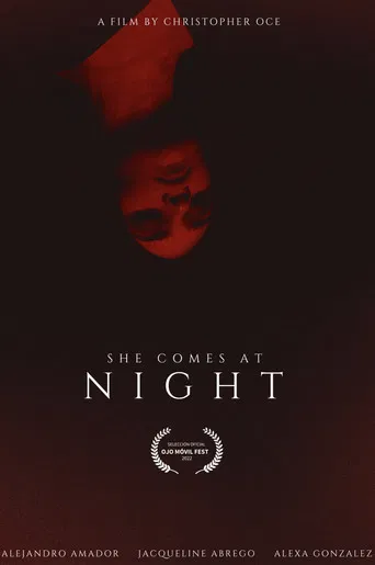 SHE COMES AT NIGHT poster