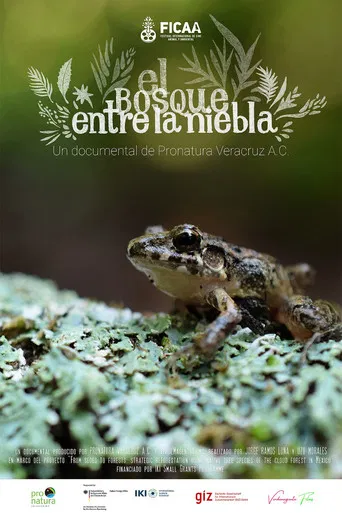 El bosque entre la niebla poster